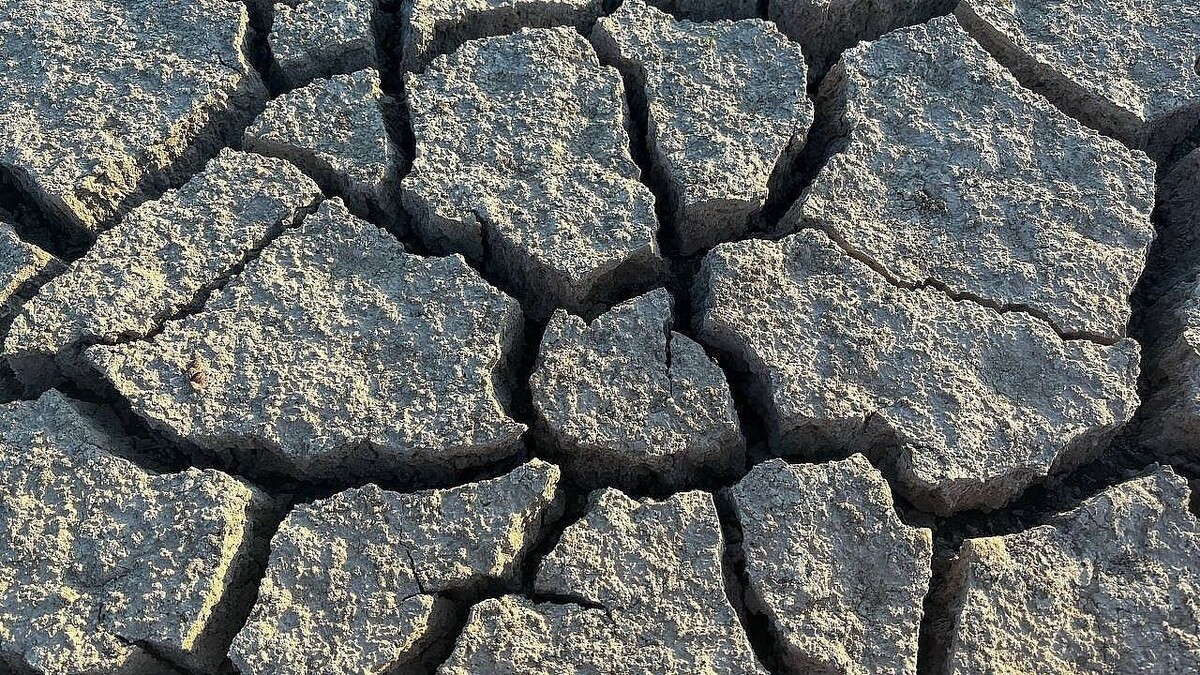    Фото: телеканал «Краснодар»