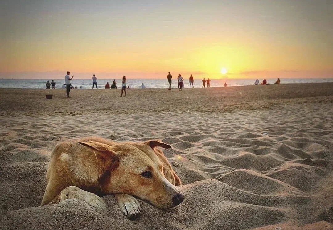 Пляж на CALANGUT