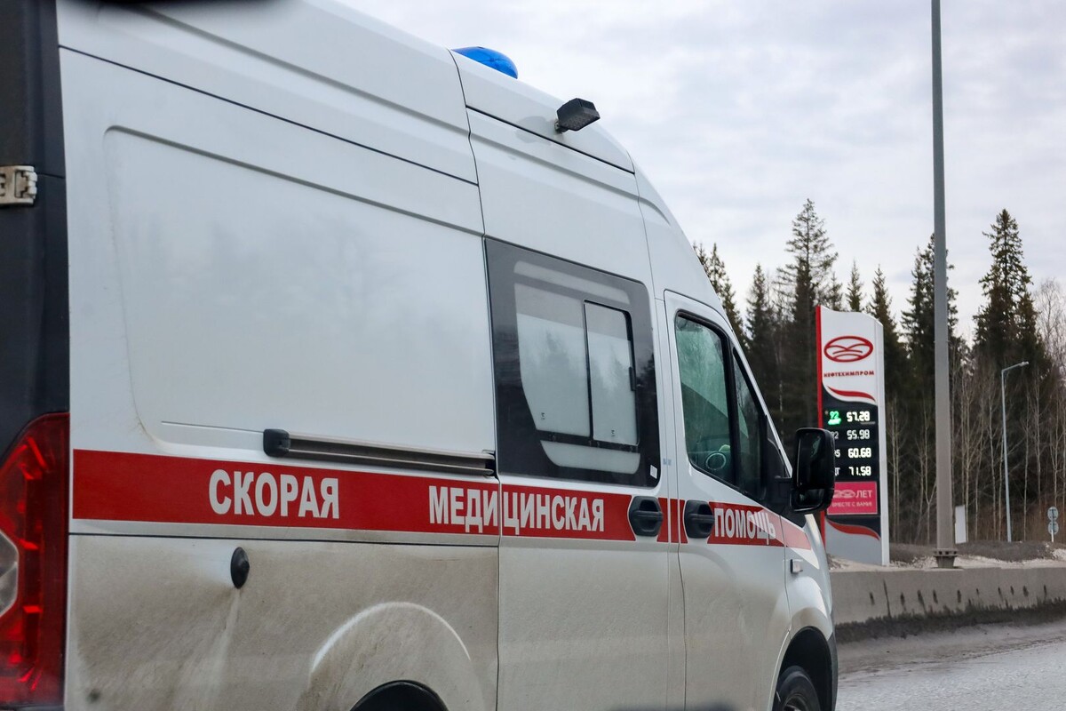     / Источник: © Global Look Press