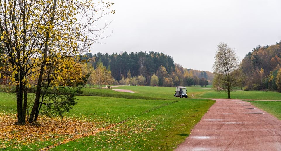    Мещерский парк осенью 2025 / Медиасток.рф