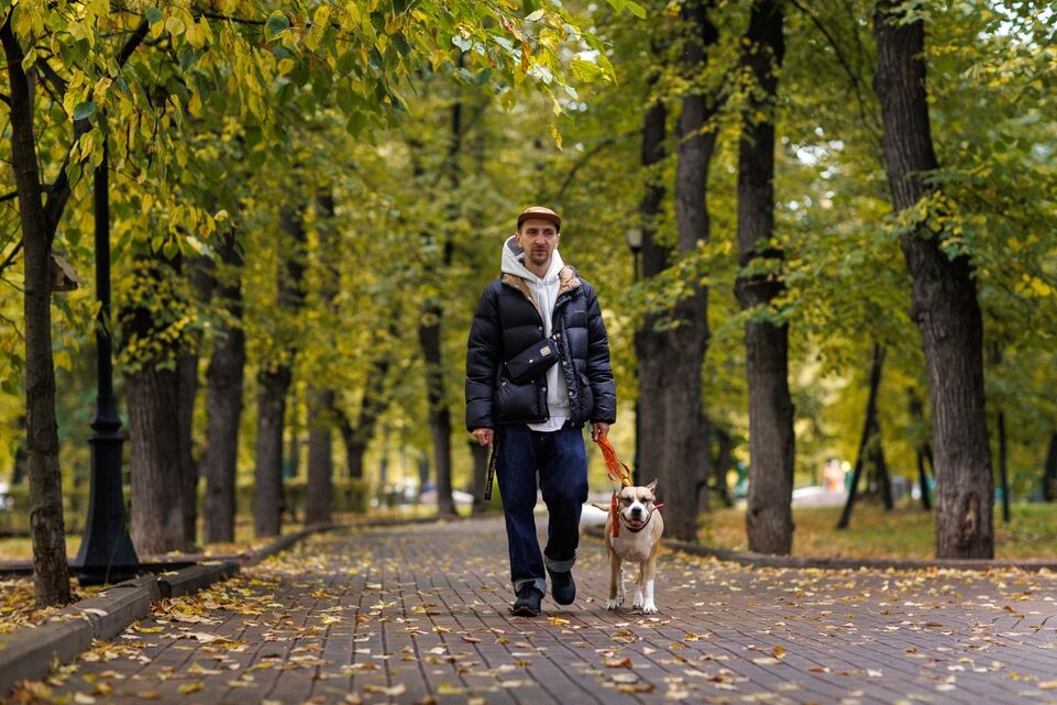    Осенняя прогулка с собакой в парке / Медиасток.рф