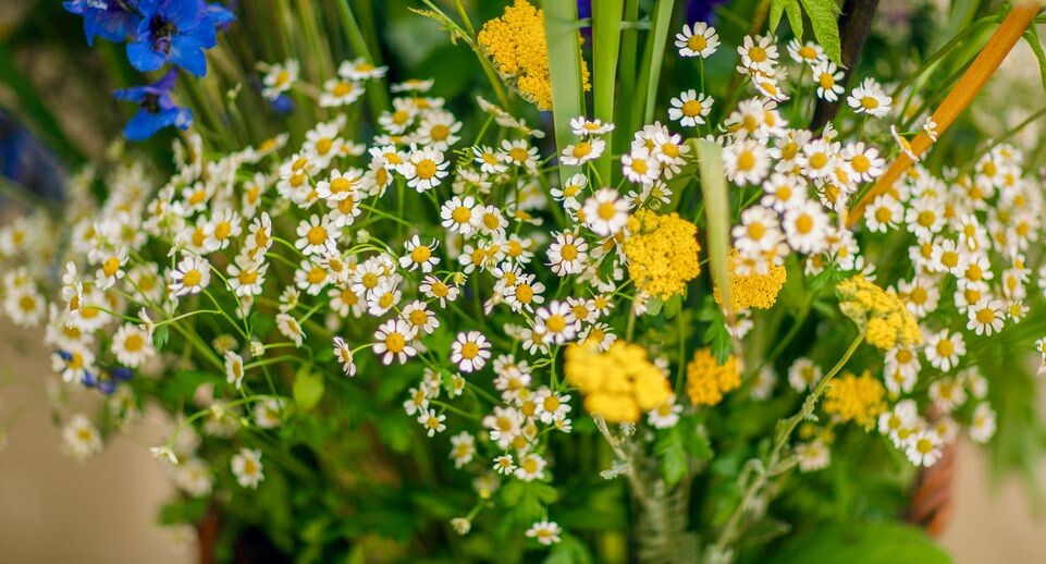    Медиасток.рф