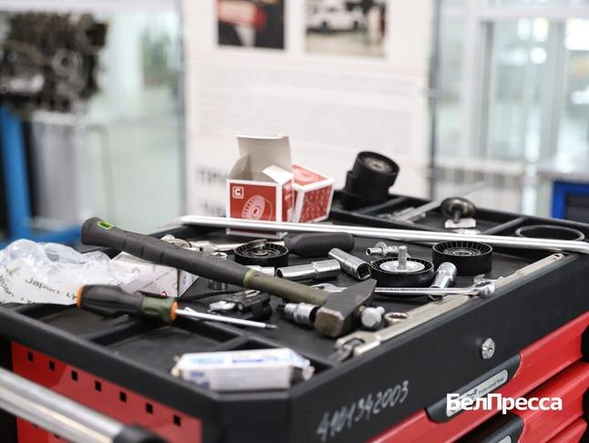 Фото: Валерия Шатько