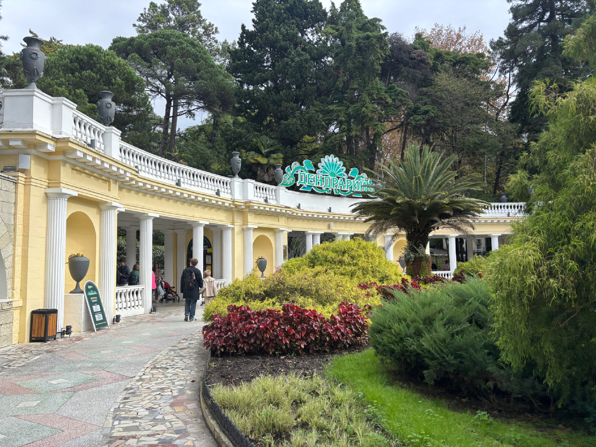 Фото автора. Для нас дендрарий - визитная карточка Сочи 
