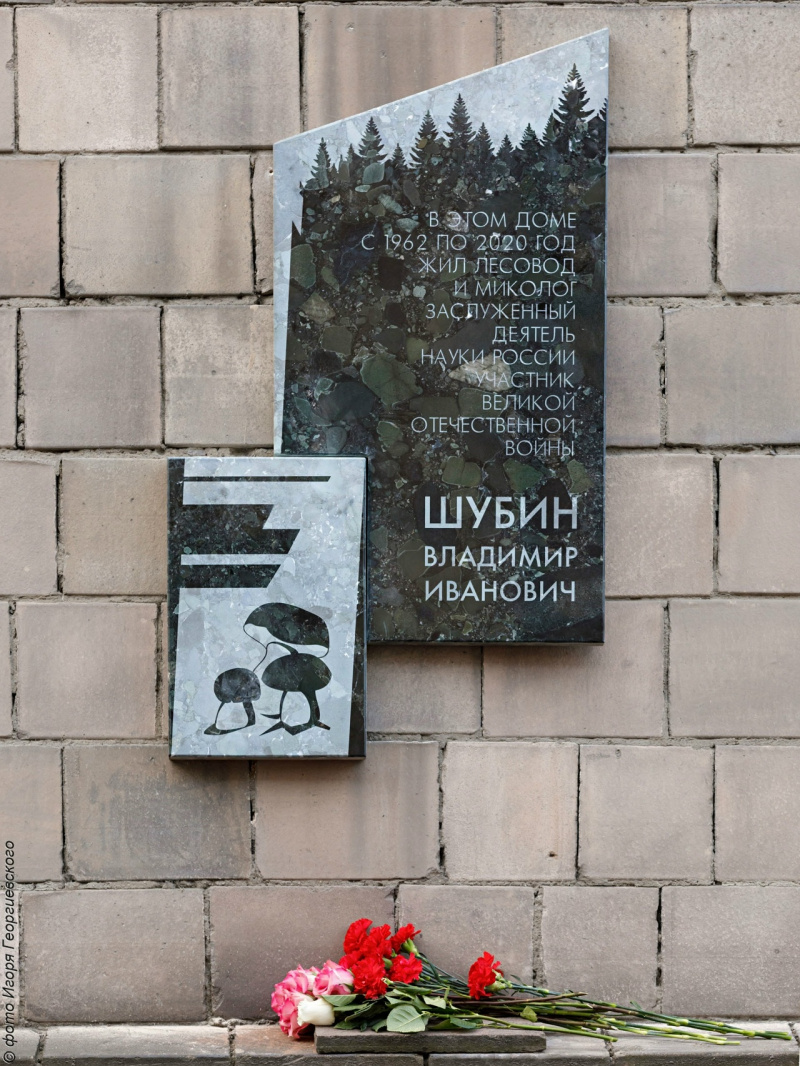    Памятную доску ученому-лесоводу Владимиру Шубину открыли в ПетрозаводскеИгорь Георгиевский/ Карельский научный центр РАН