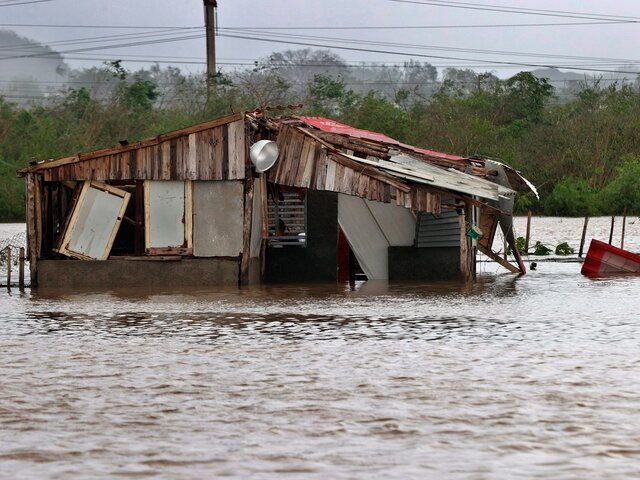    Фото: ТАСС/EFE/Ernesto Mastrascusa