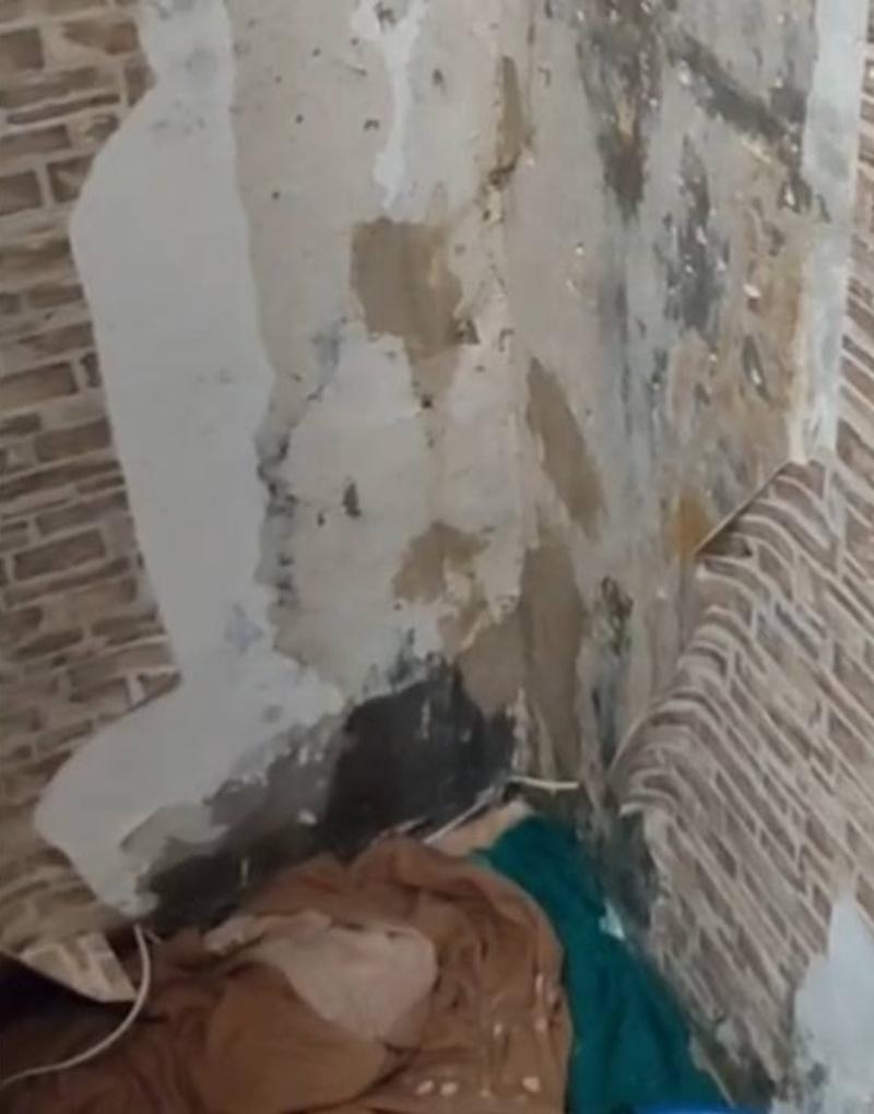      Фото: Личный архив читательницы