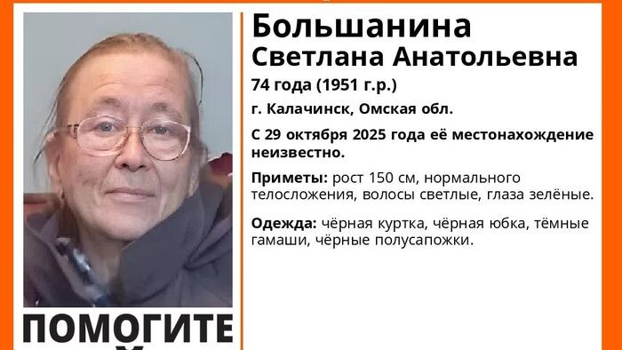    ПСО «ЛизаАлерт»