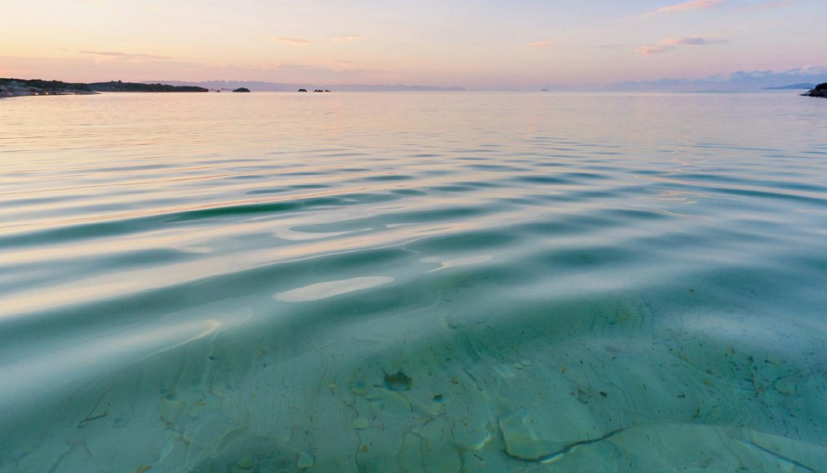    Фото сгенерировано Kandinsky 4.1