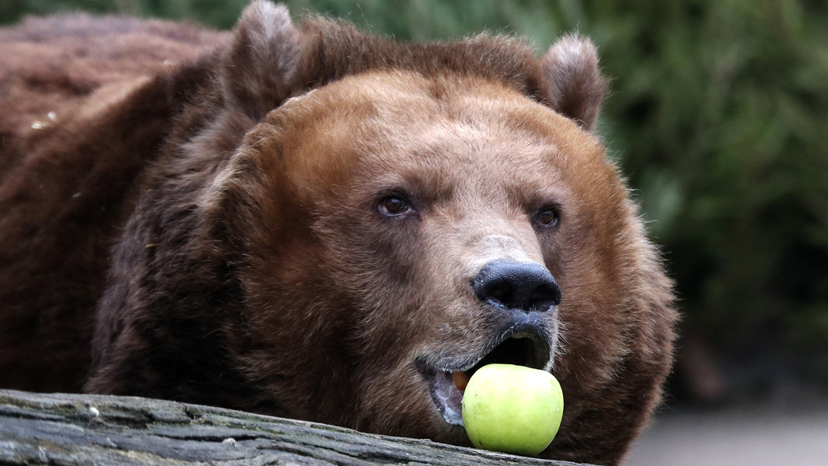   Михаил Терещенко / ТАСС
