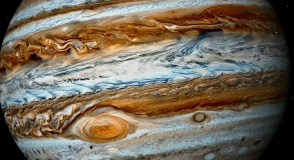 Что общего у человека и звёзд,и какое самое громкое животное в мире...и много, много других интересных фактов