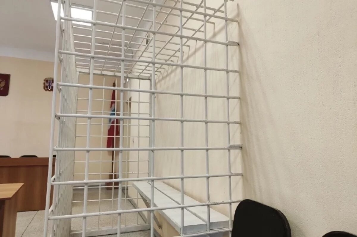    Житель Омской области пойдет под суд за наезд на пограничника