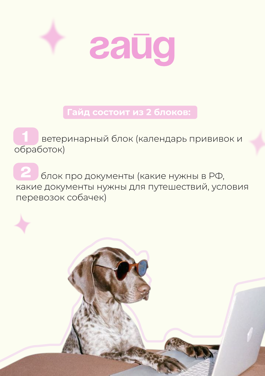 Чтобы получить гайд - перейдите по ссылке в телеграм