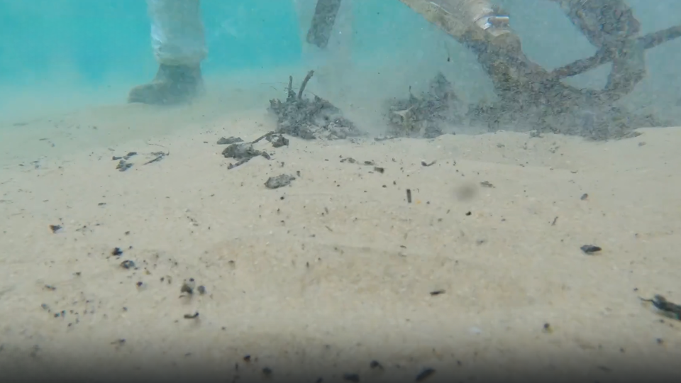 ФОТО: Кадр из программы "Наука и техника", РЕН ТВ