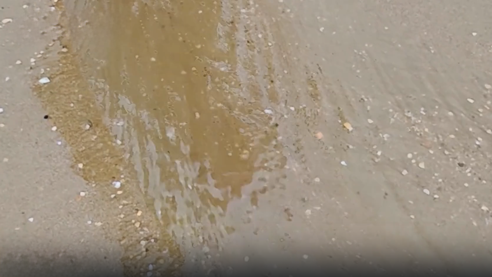 ФОТО: Кадр из программы "Наука и техника", РЕН ТВ