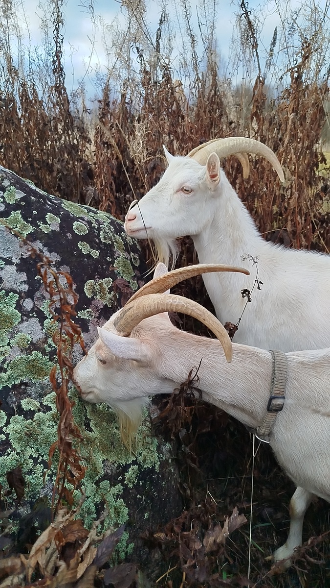 Выглянуло солнышко