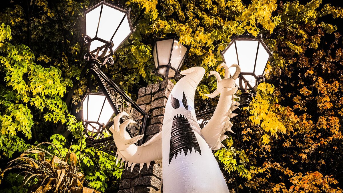 Фото: Nico Schimmelpfennig/globallookpress.com