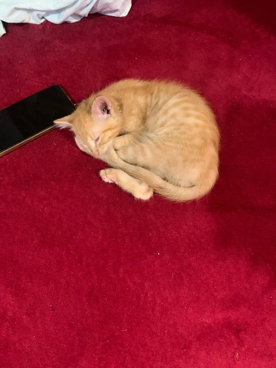 Вот кому никуда не надо