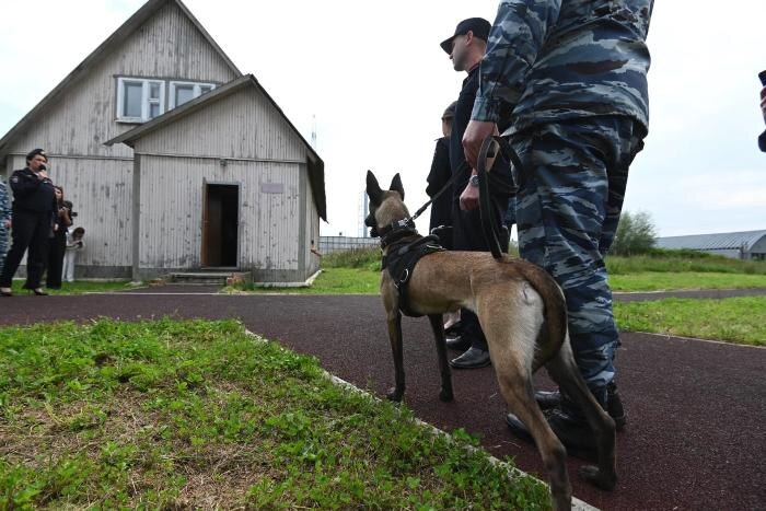 Обложка © Life.ru