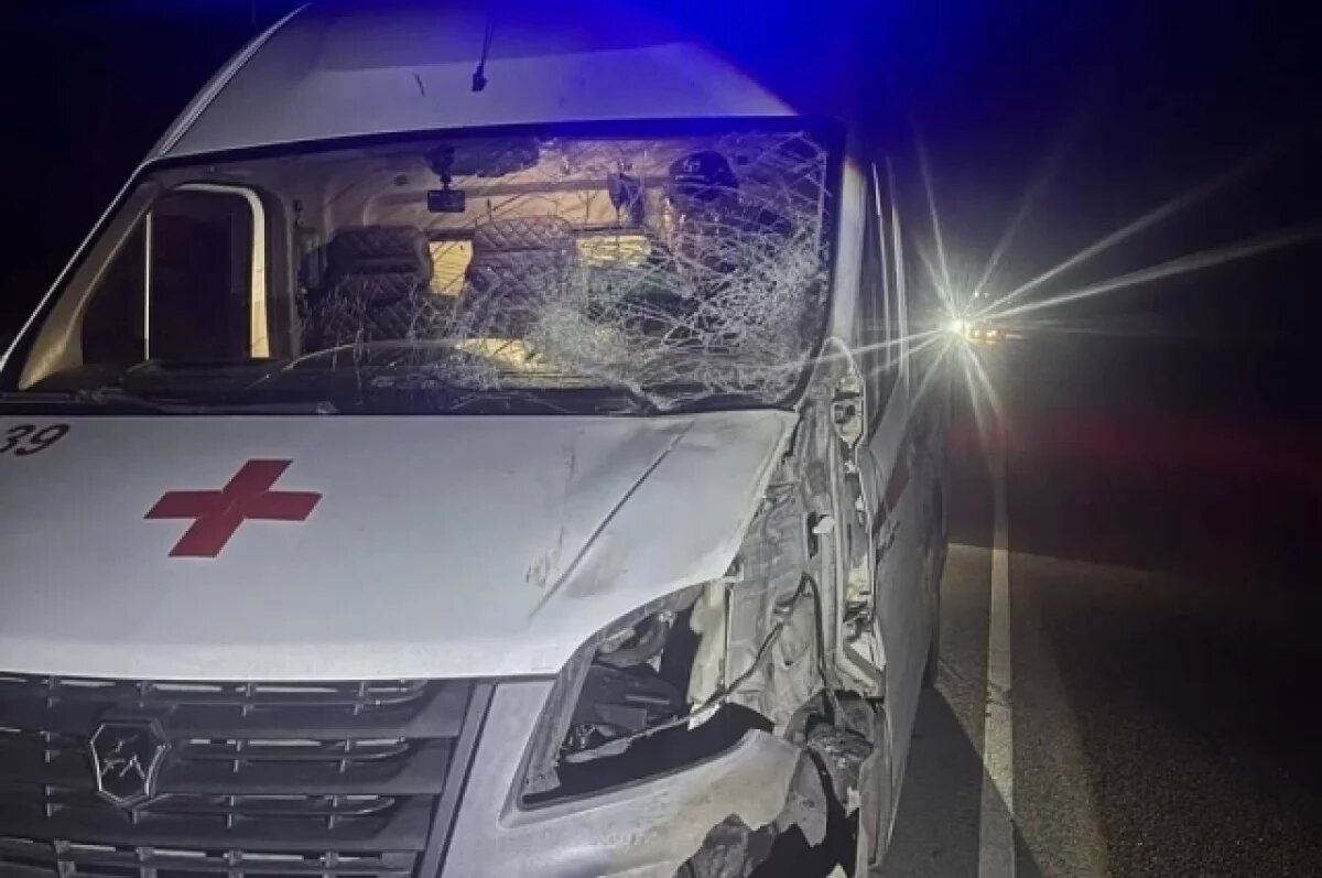    В Липецкой области лось врезался в скорую, которая везла маму и младенца