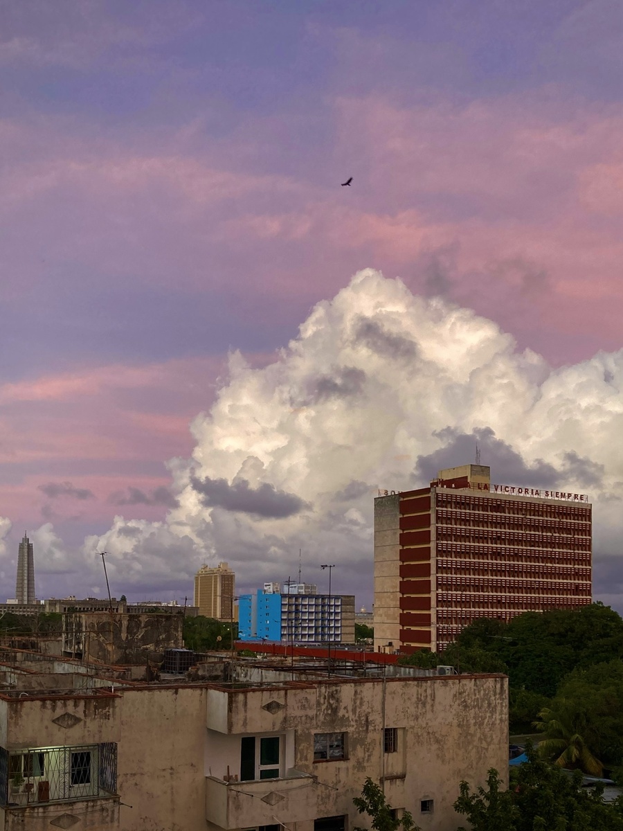 За день до урагана кружили стервятники, кажется, у них свои прогнозы