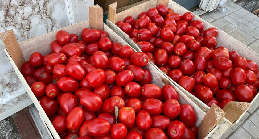    Эти сорта томатов растут даже в морозы: агроном назвал тройку лучших — дачники скупают их уже осенью