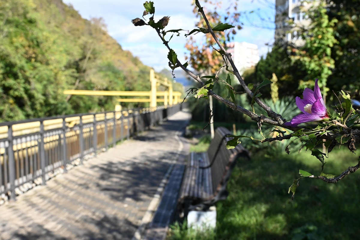    Фото: пресс-служба администрации города Сочи