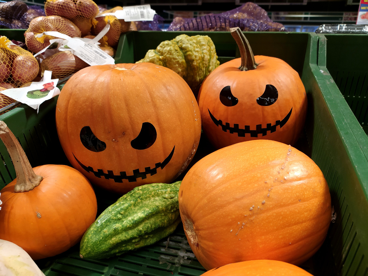 Фото: Maksim Konstantinov