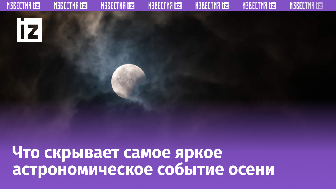 Фото: Global Look Press/Soumyabrata Roy