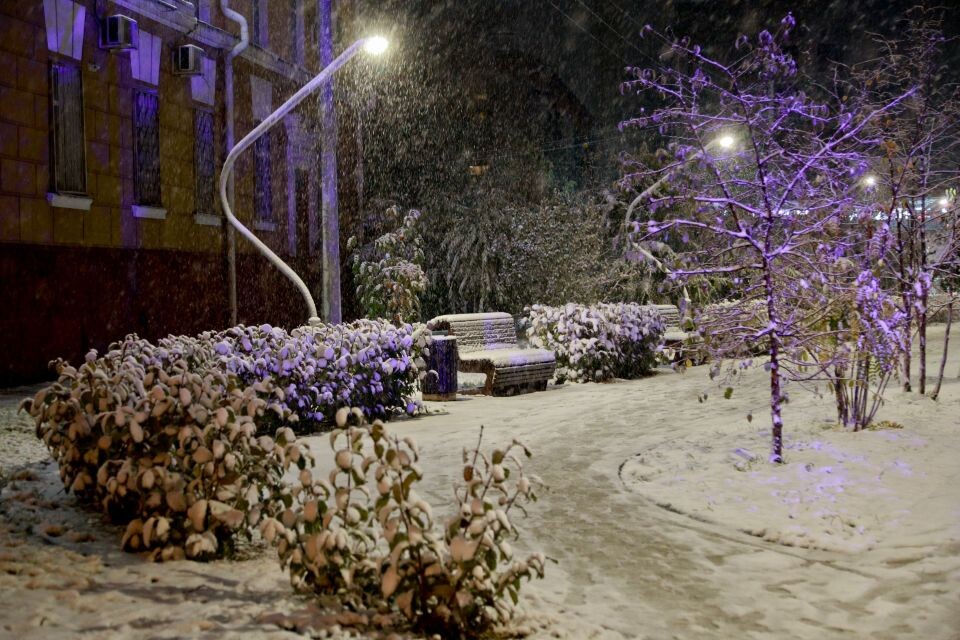    Первый снег в Барнауле. Источник: Олег Укладов