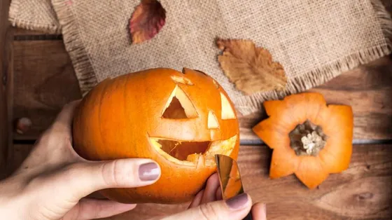 Фото из интернета