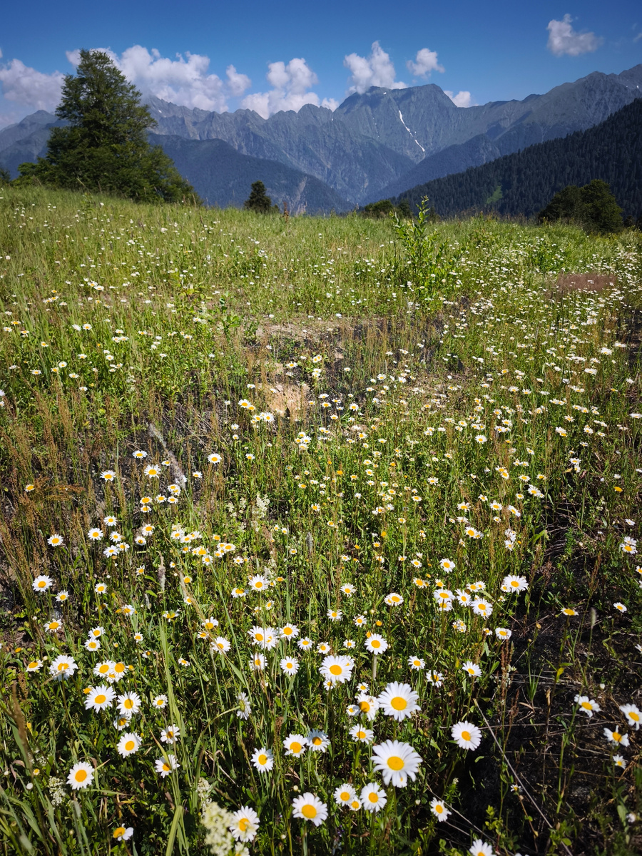 Начало тропы