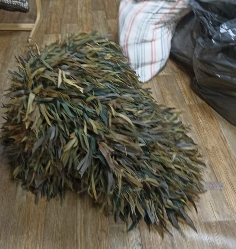 Замаскировалась) 