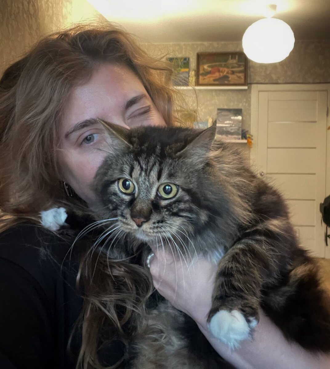 Шико увидел автобусики в окошке