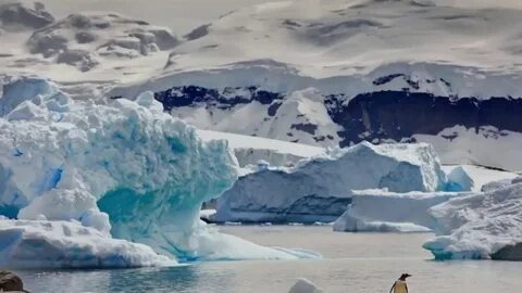 Что кричало подо льдами Антарктиды? Запись, которую учёные скрывают от человечества.