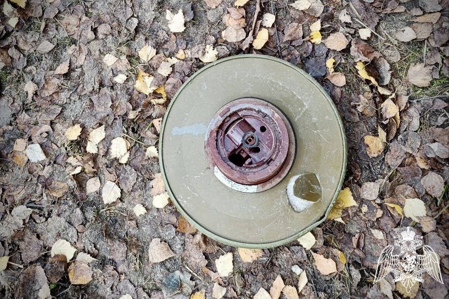    Фото: 44.rosguard.gov.ru