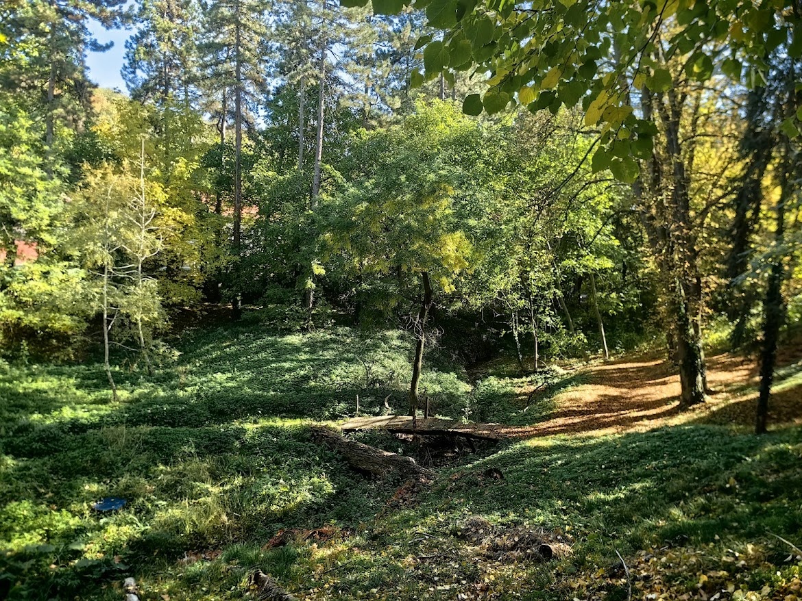 Дворска Башта, Сремски Карловци. Листайте галерею, там аромат осенней листвы 