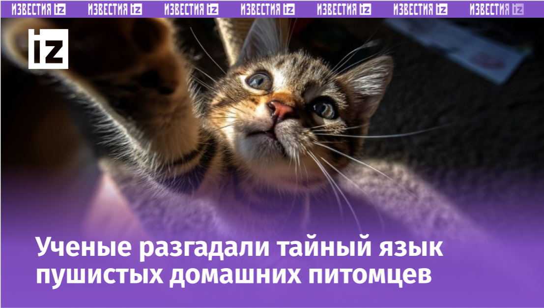 Фото с сайта Пятого канала