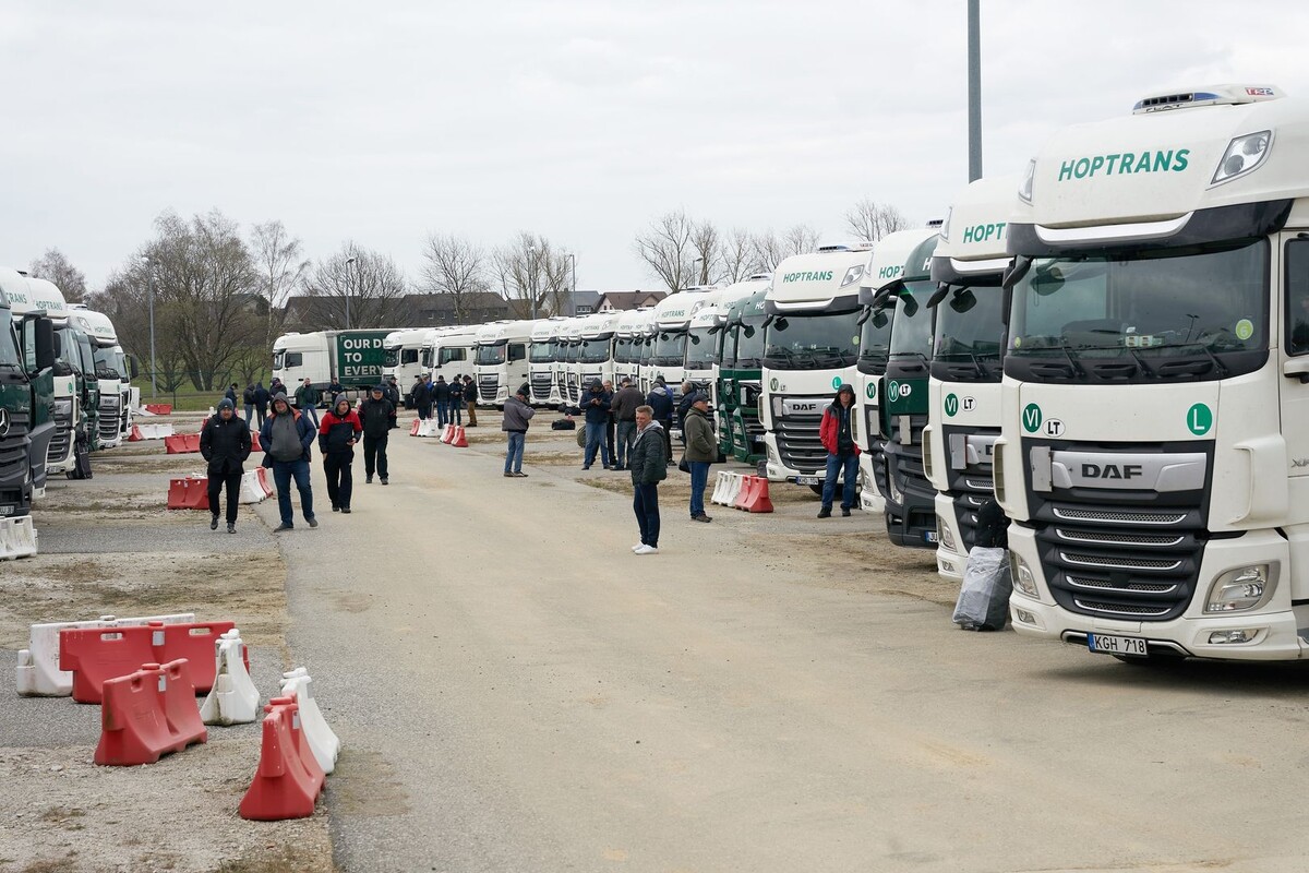     / Источник: © Global Look Press