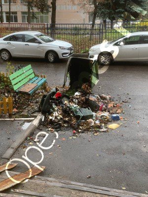 Фото автора  📷
