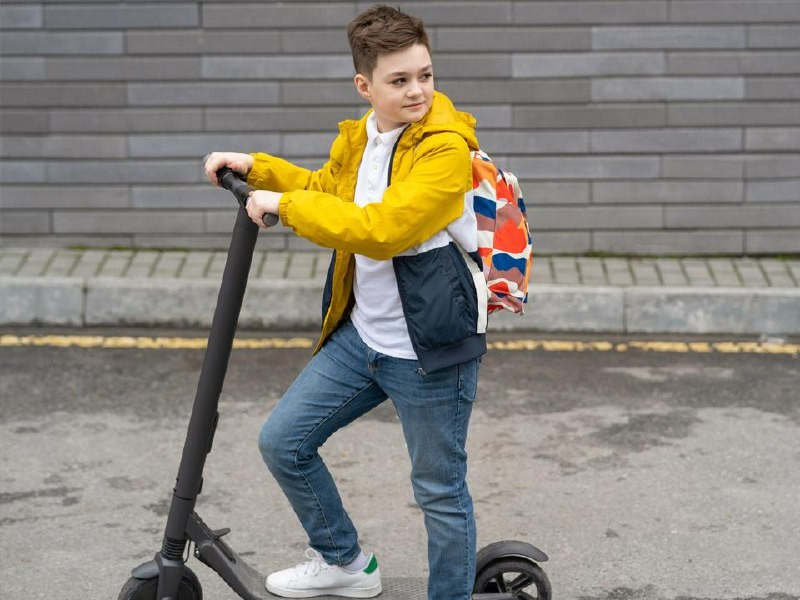 Фото взято из открытого источника