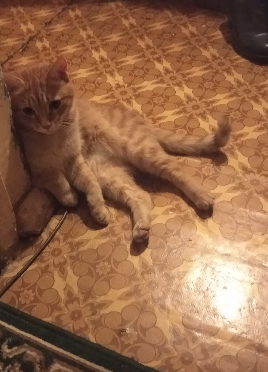 Личное фото. 