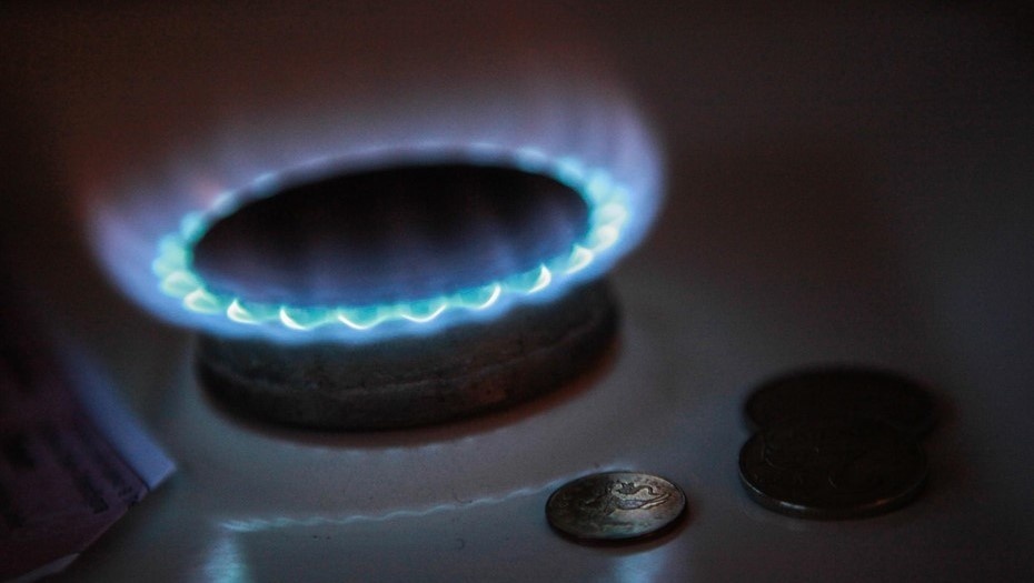 Автор фото: Сергей Коньков / "Деловой Петербург"