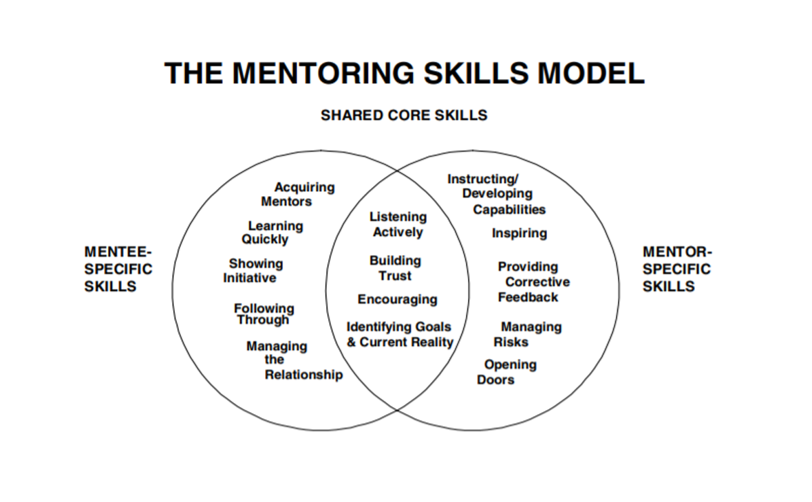    В модели Филлипс-Джонс для ментора и менти свой набор специальных навыков. Например, ментору нужно уметь управлять рисками и давать честную обратную связь, а менти — быстро учиться и проявлять инициативу