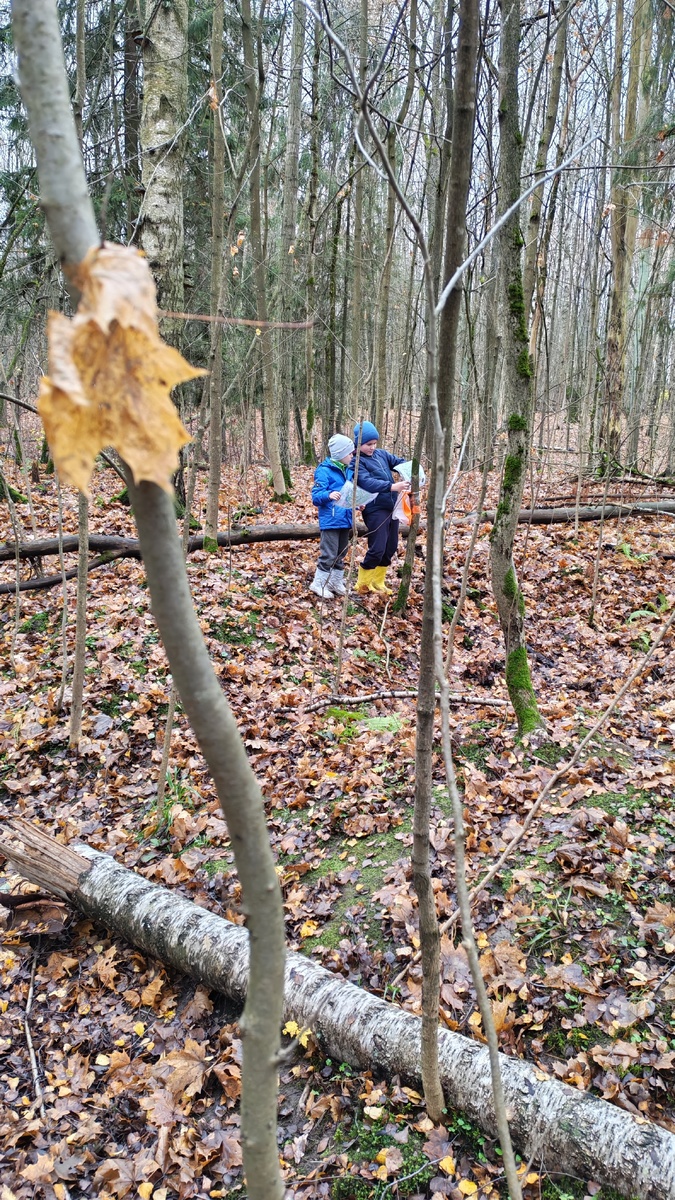 Отмечаются на контрольной точке