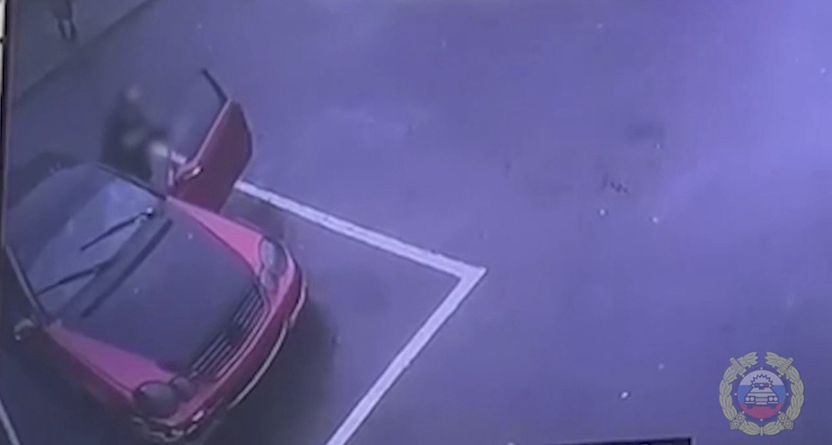 Фото: стоп-кадр видео камер наблюдения