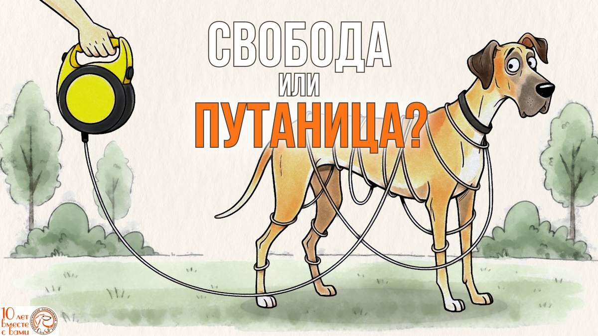 Свобода или путаница? Иллюстрация-метафора, которая задаёт главный вопрос статьи: правильная амуниция дарит собаке свободу исследования, а неправильная – лишь запутывает и создаёт напряжение| Изображение: DogSelf