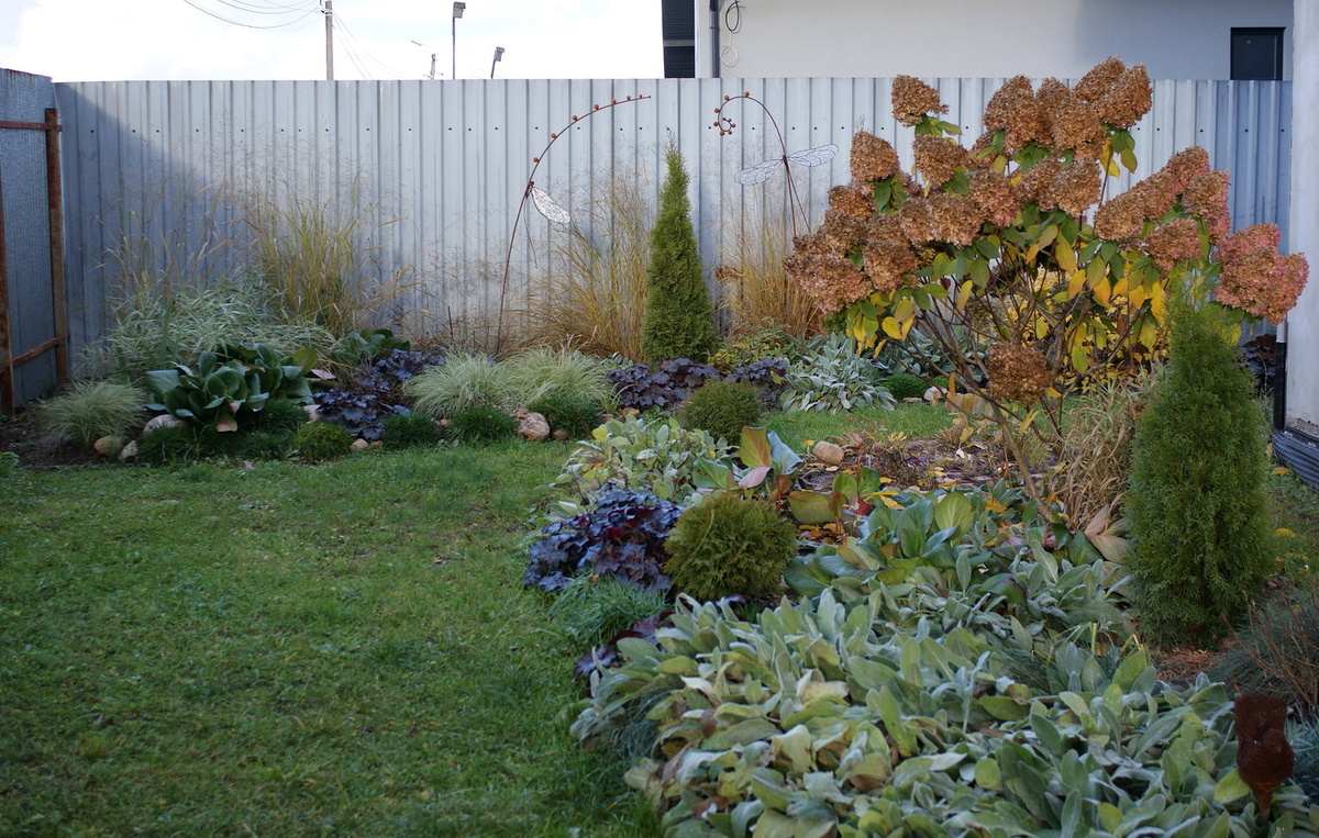 Палисадник в конце октября 2025 года.