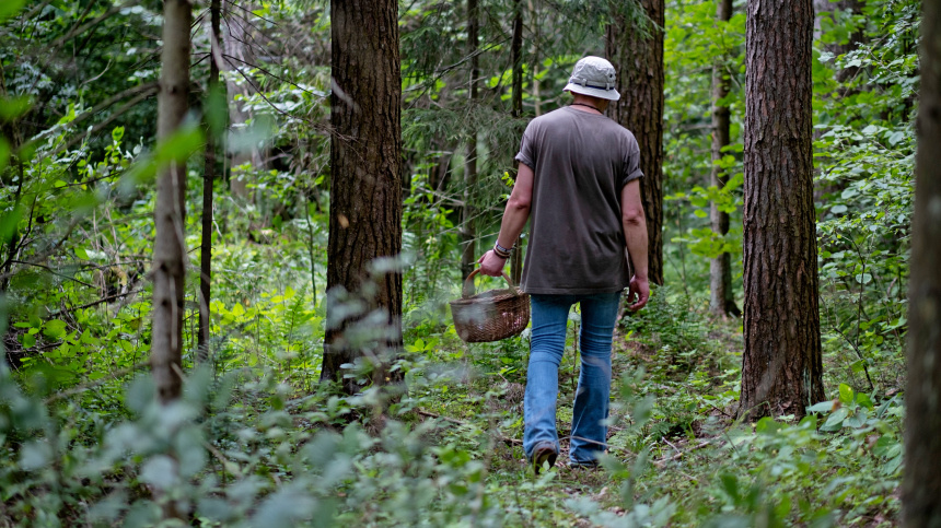    Фото: ИЗВЕСТИЯ/Сергей Виноградов