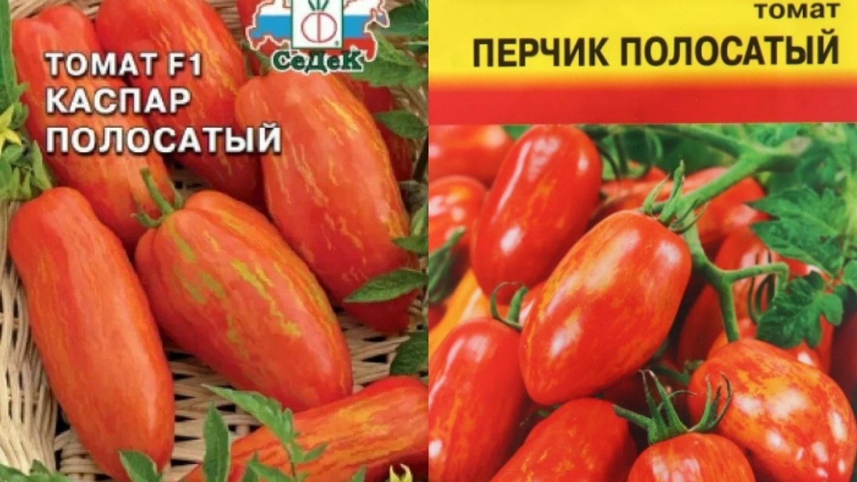 Ноябрьский запас семян полосатых сортов - залог успешного урожая